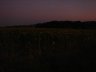 dsc09675.jpg - 
